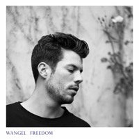 Wangel: Freedom (Vinyl)